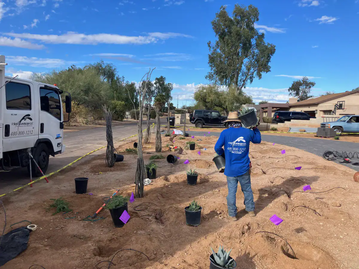 Planting day