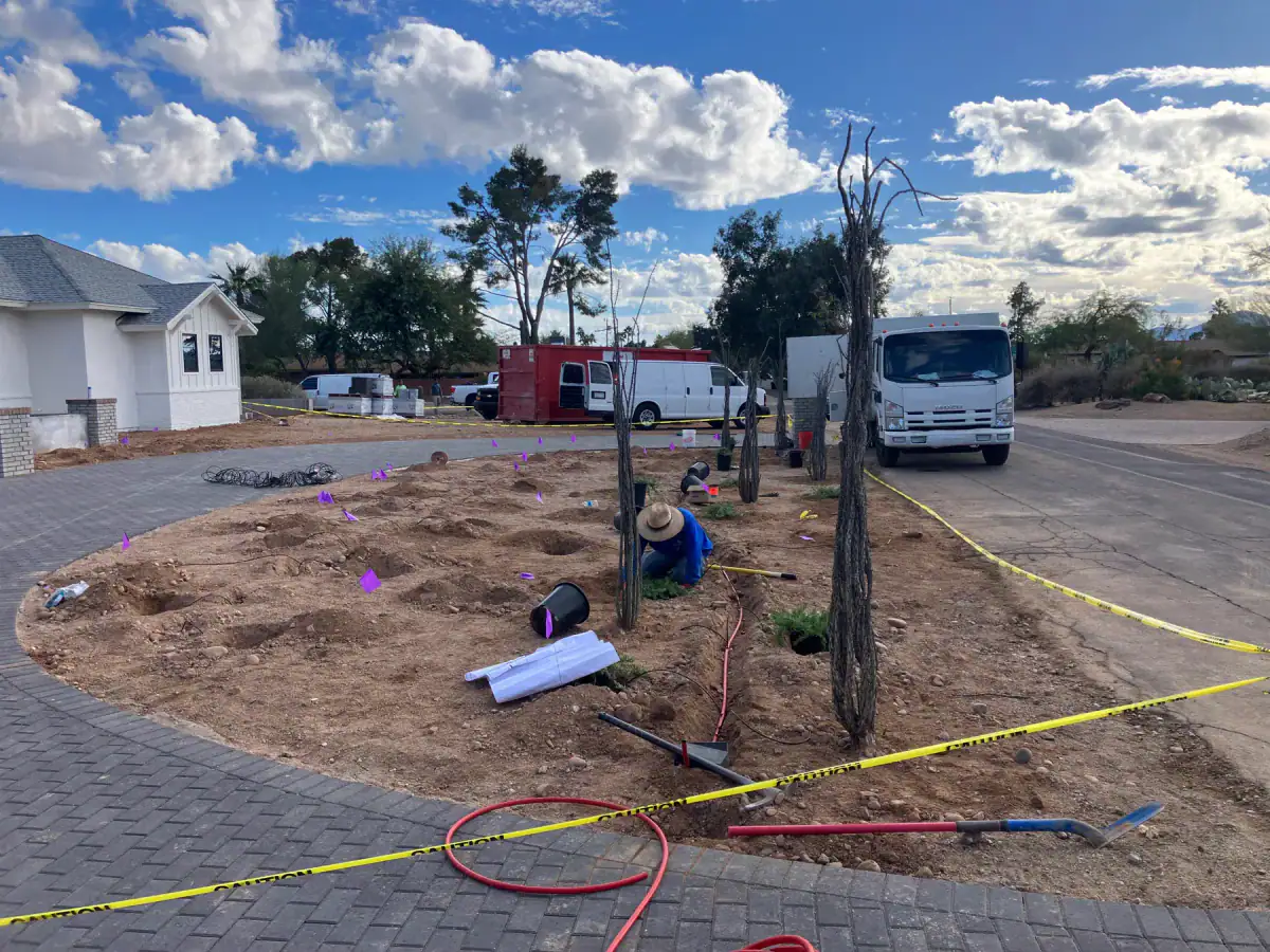 Irrigation and planting